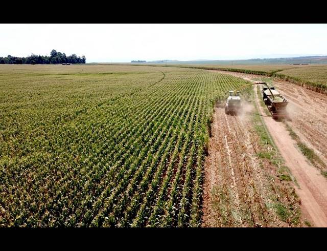 FARM FOR SALE IN NEWCASTLE RURAL